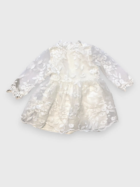 Baby Girl Embroider Organza Dress