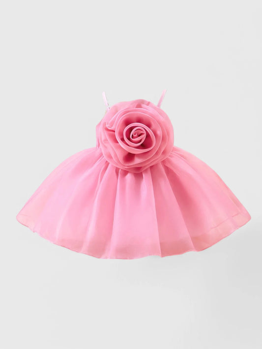 Baby Girl Rosette Dress