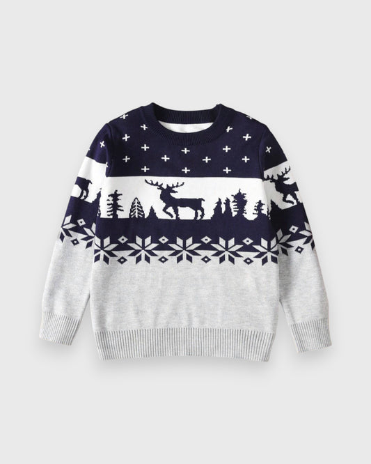 Boys Snowflake Reindeer Sweater