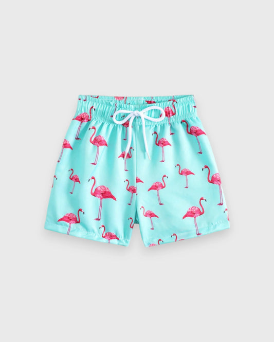 Baby Boys Flamingo Swim Shorts