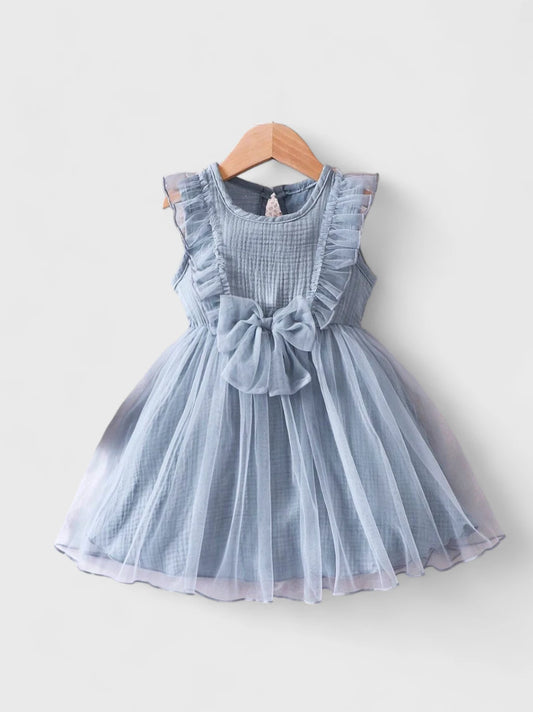 Toddler Little Girl Mesh Overlay Bow Dress