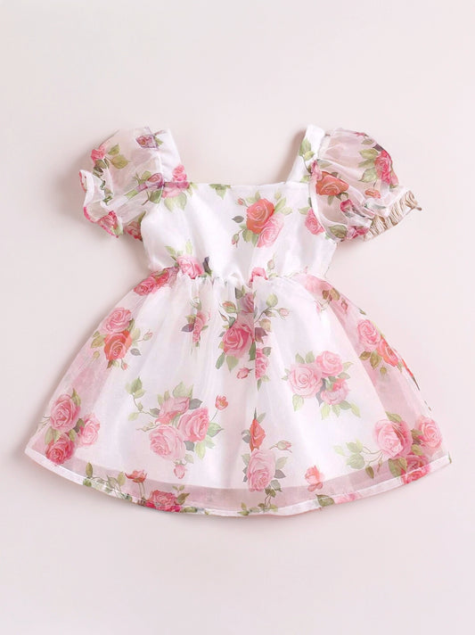 Baby Girl Floral Organza Bubble Sleeve Dress