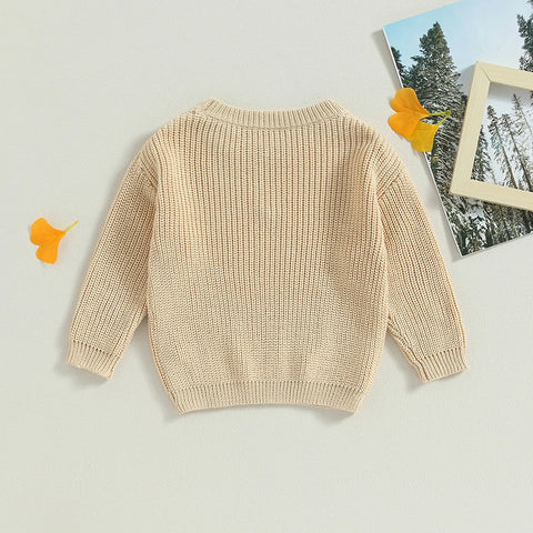 Baby Toddler Girls Spring Flower Knit Sweater