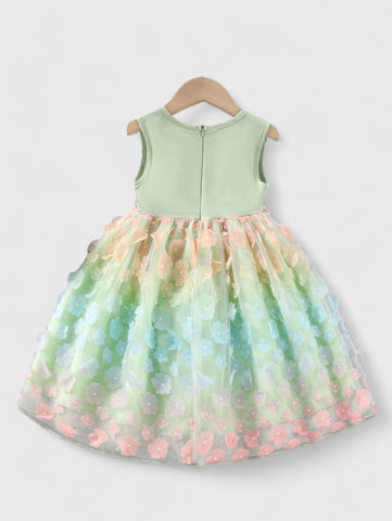 Toddler Little Girl 3D Floral Dress