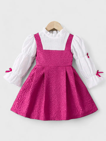 Toddler Girl Mock Neck Bow Sleeve Dress