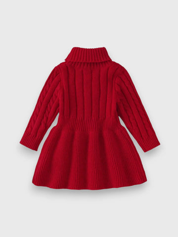 Baby Girl Turtle Neck Sweater Dress