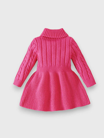 Baby Girl Turtle Neck Sweater Dress