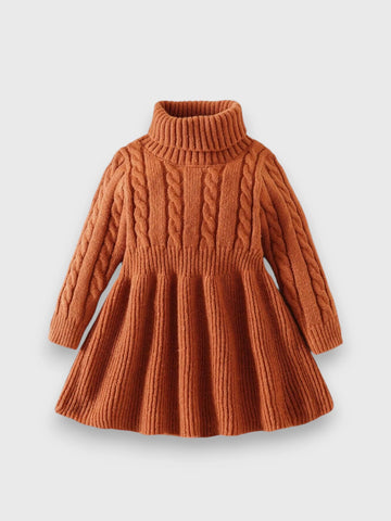 Baby Girl Turtle Neck Sweater Dress