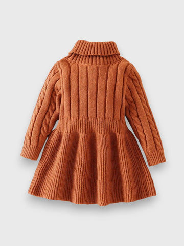 Baby Girl Turtle Neck Sweater Dress