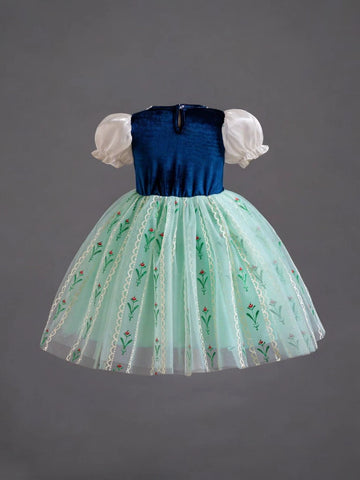 Girls Arandale Princess Dress