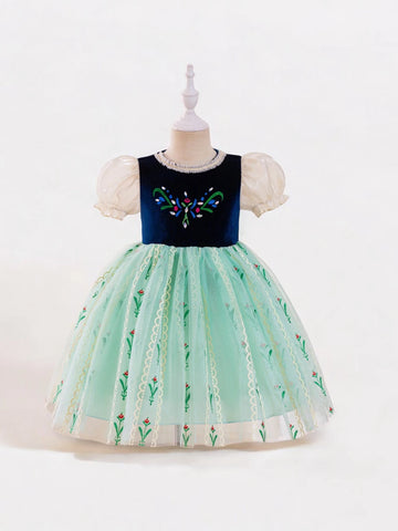 Girls Arandale Princess Dress