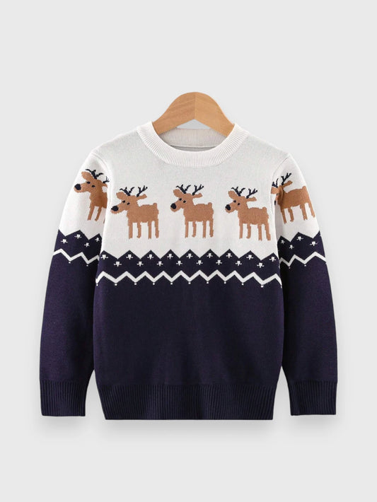 Boys Reindeer Chevron Knit Sweater