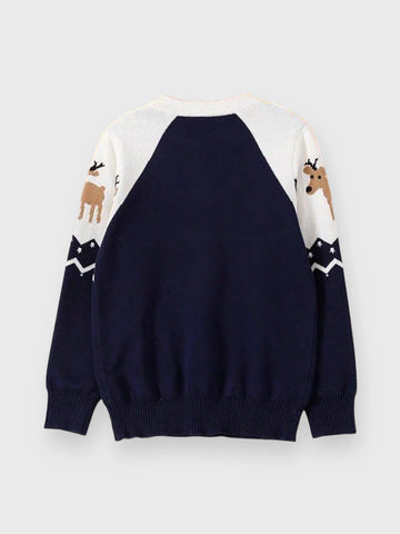 Boys Reindeer Chevron Knit Sweater