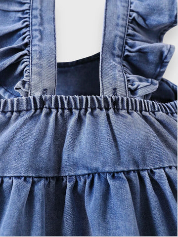 Baby Girl Ruffle Chambray Dress