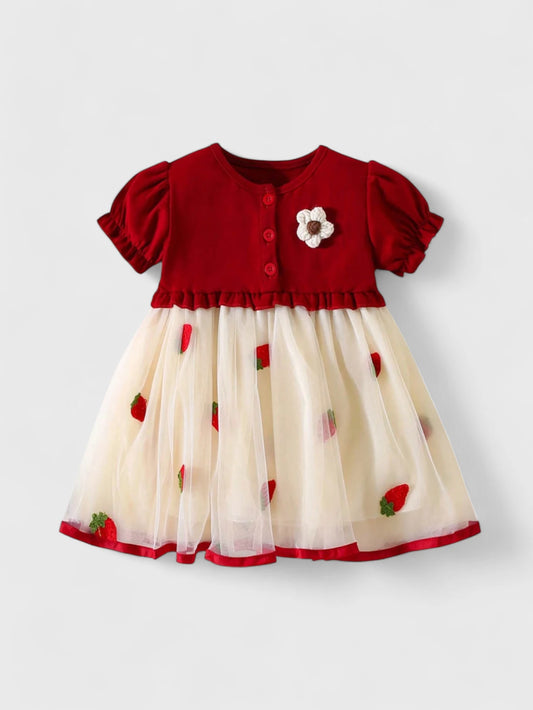 Baby Girl 2 in 1 Cardigan Strawberry Mesh Dress