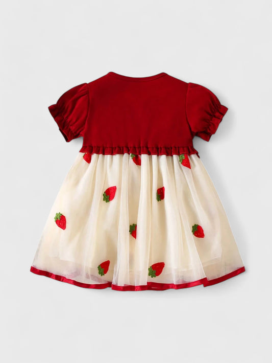 Baby Girl 2 in 1 Cardigan Strawberry Mesh Dress