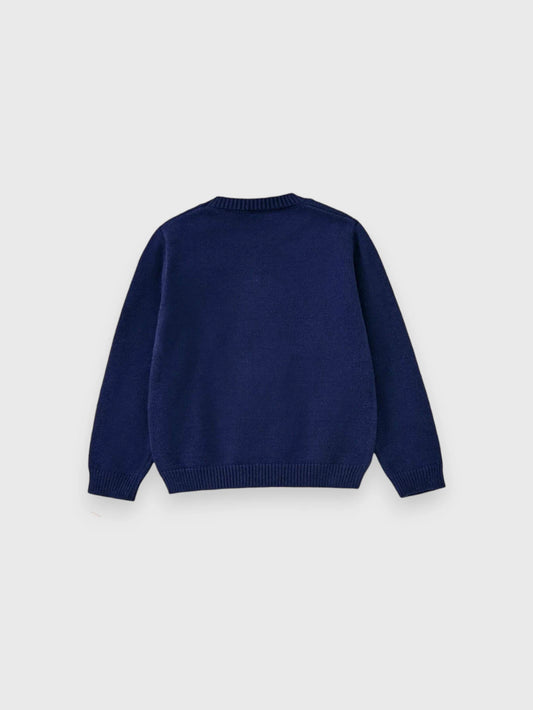 Boys Preppy Dog Knit Sweater