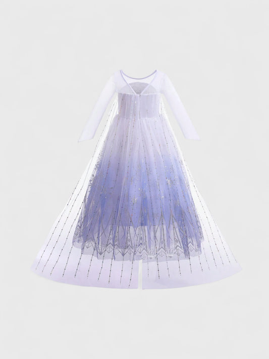 Girls Ice Princess Costume