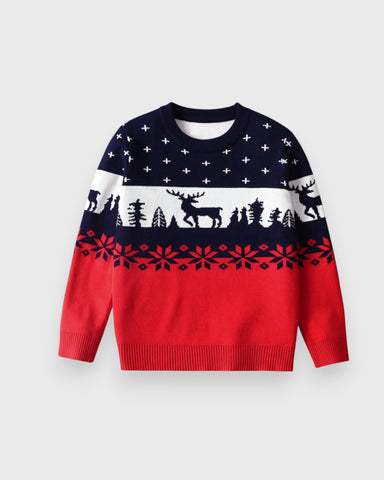 Boys Snowflake Reindeer Sweater