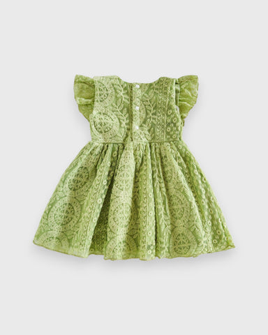 Baby Girl Mesh Leaflet Dress
