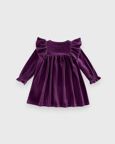Baby Girl Velvet Ruffle Flared Dress