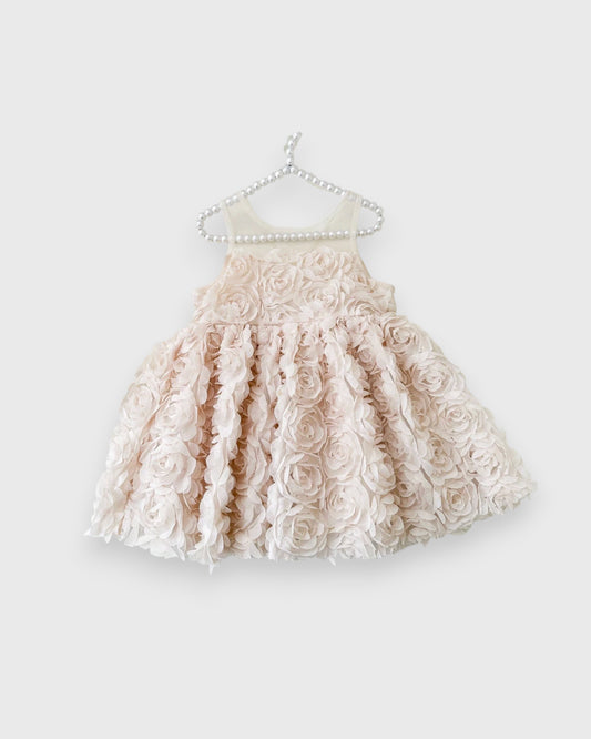 Baby Girl Rosette Party Dress