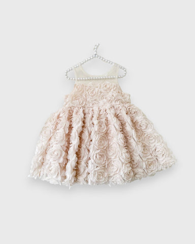 Baby Girl Rosette Party Dress