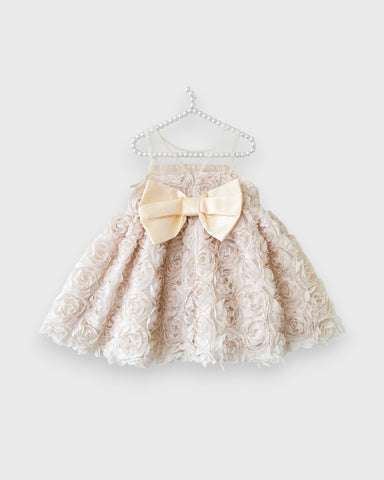 Baby Girl Rosette Party Dress