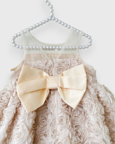 Baby Girl Rosette Party Dress