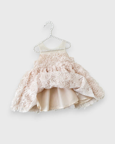 Baby Girl Rosette Party Dress