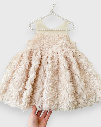 Baby Girl Rosette Party Dress
