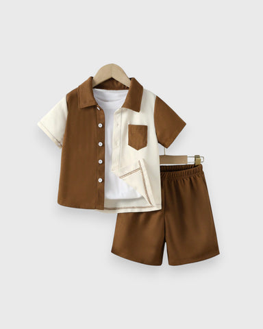 Toddler Boys Brown ColorBlock Shirts & Shorts Set