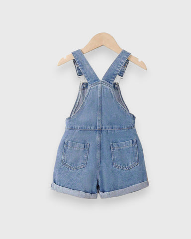 Toddler Girls Flower Embroidery Denim Overall