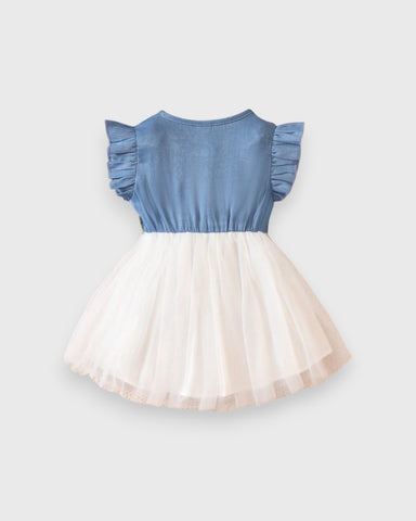 Baby Girl Spring Flower Chambray Tulle Dress
