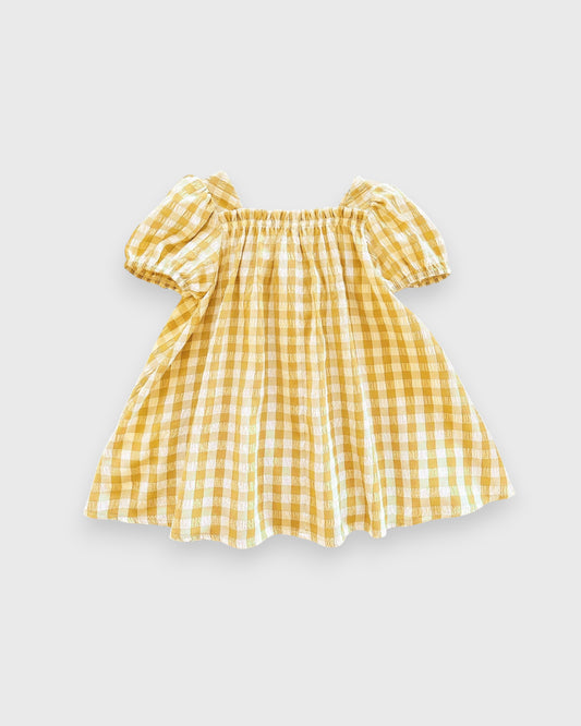 CL-Baby Girl Spring Flower Gingham Swing Dress