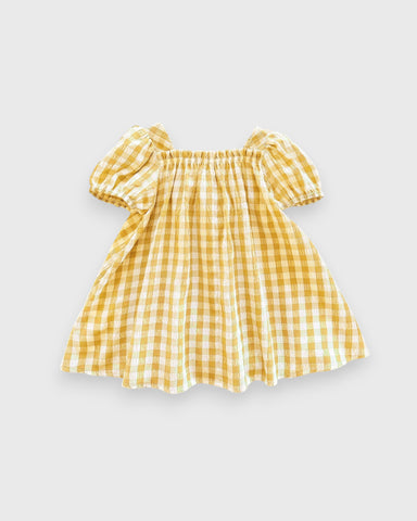 Baby Girl Spring Flower Gingham Swing Dress