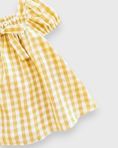Baby Girl Spring Flower Gingham Swing Dress