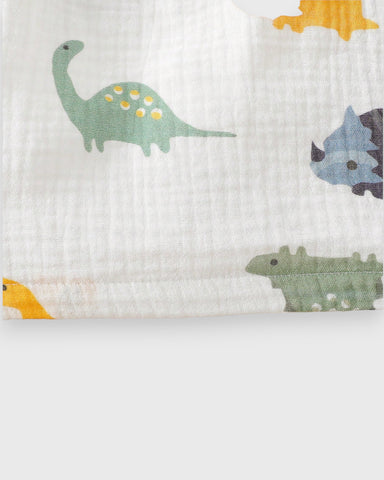 2 Pc Baby Boy Dinosaur Sleeveless Tank & Short Set