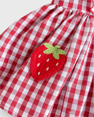 2 Pc Baby Girl Ruffle Bib Puff Sleeve Gingham Bodysuit