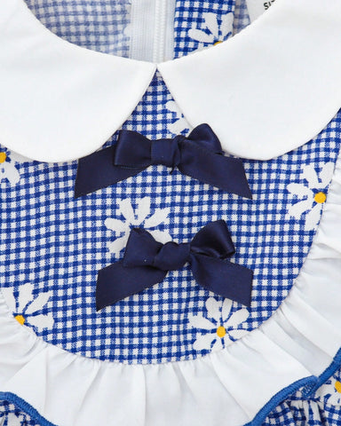 2 Pc Baby Girl Ruffle Bib Puff Sleeve Gingham Bodysuit