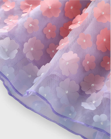 CL-Toddler Girl Mesh Ombre Flower Dress