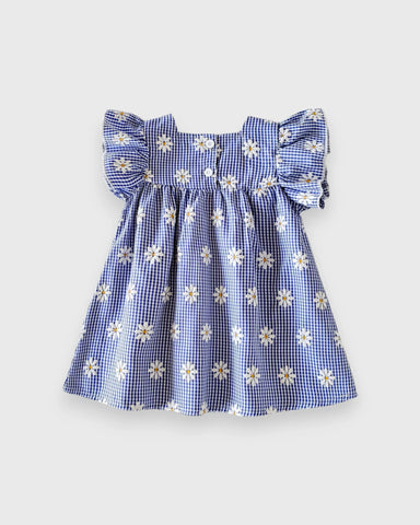 Baby Girl Flutter Sleeve Gingham Plaid Flare Dress