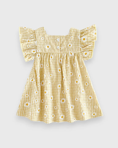 Baby Girl Flutter Sleeve Gingham Plaid Flare Dress
