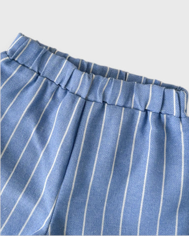 Baby Boy Vertical Stripe Button Up Shorts Set
