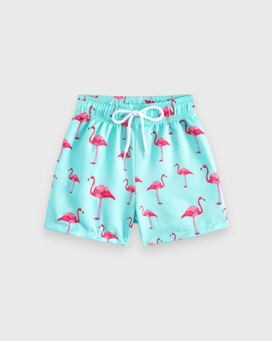 Baby Boys Flamingo Swim Shorts