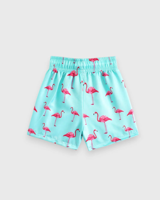 Baby Boys Flamingo Swim Shorts