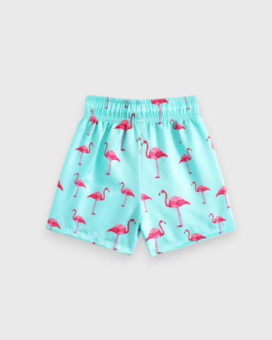 Baby Boys Flamingo Swim Shorts