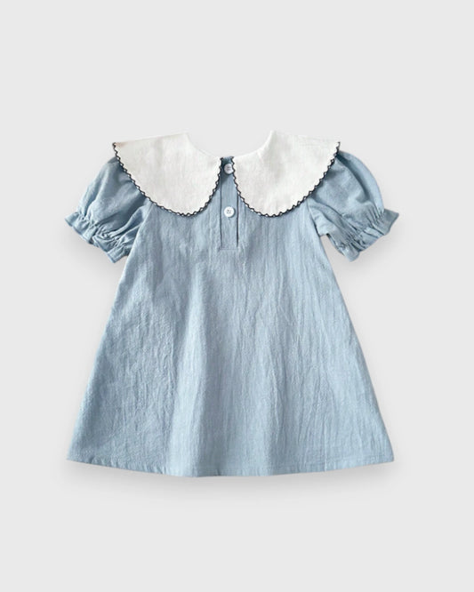 Baby Girl Butterfly Embroidered Collar Flare Dress