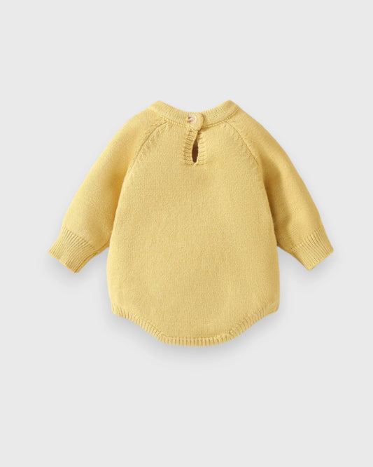 Baby Girl Knitted Embroidered Bee Bodysuit