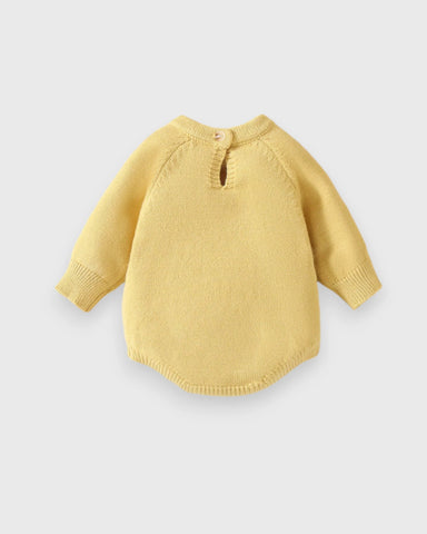 Baby Girl Knitted Embroidered Bee Bodysuit